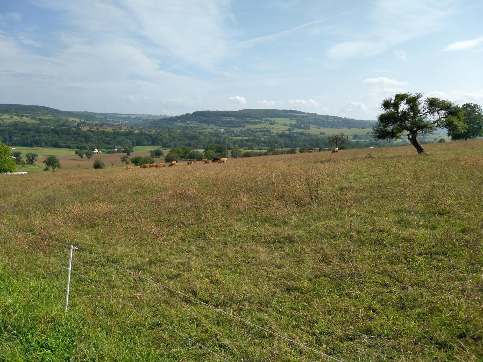Camping Walsheim Gersheim ภายนอก รูปภาพ